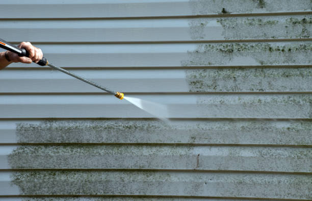 Best Office Mold Removal Services  in Marion, NC