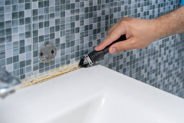 Best Professional Mold Removal  in Marion, NC