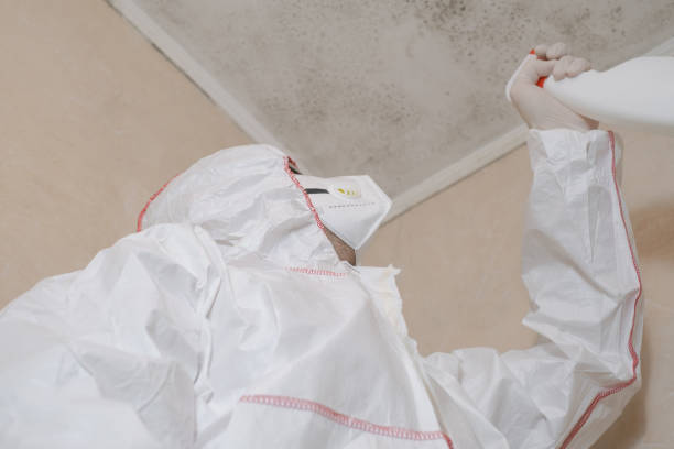 Best Mold Inspection  in Marion, NC