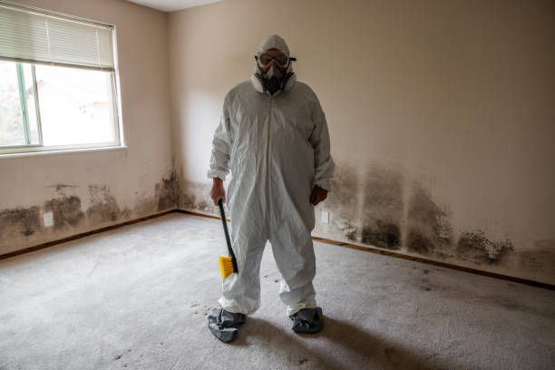 Best Emergency Mold Removal  in Marion, NC